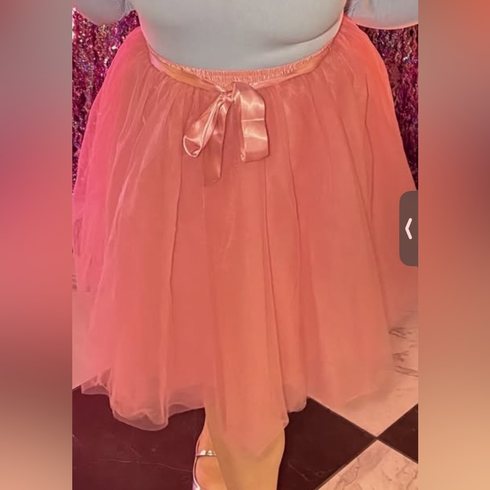 Elegant Pink Tulle Skirt